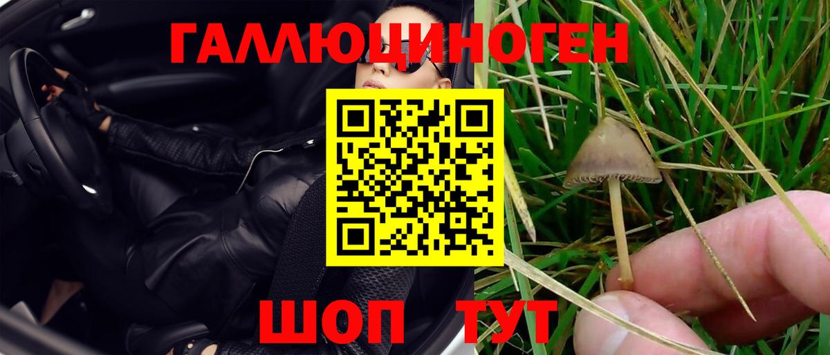Ейск  Псилоцибиновые грибы Magic Shrooms  Вход с VPN  Псилоцибиновые грибы Psilocybe 